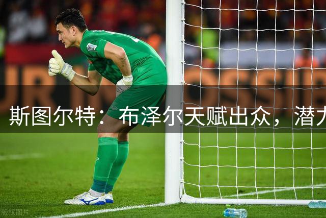 斯图尔特：布泽尔天赋出众，潜力无限