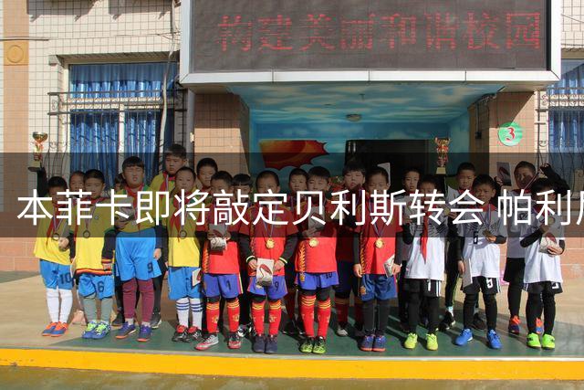 本菲卡即将敲定贝利斯转会 帕利尼亚加盟在望